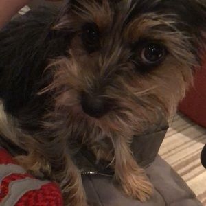 Meet your Posher, Abe